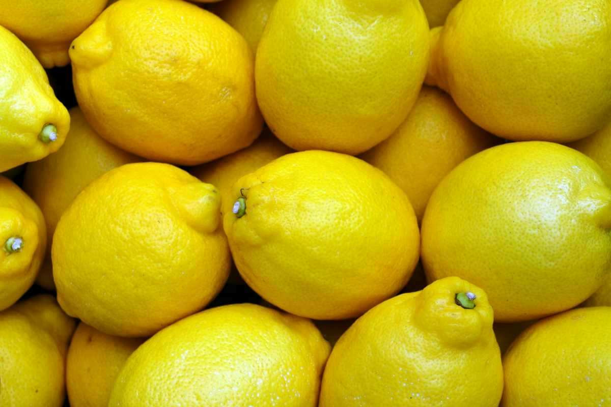Da quando tengo un limone nel congelatore non torno più indietro: i vantaggi che nessuno immagina
